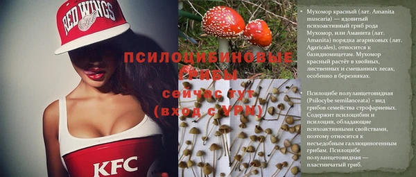 винт Горняк