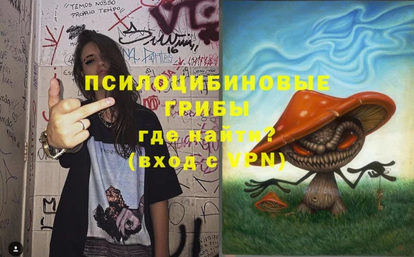 spice Горнозаводск