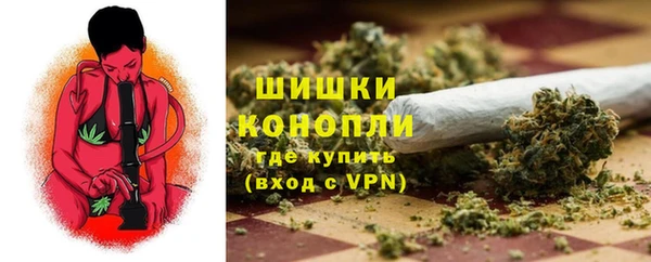 spice Горнозаводск