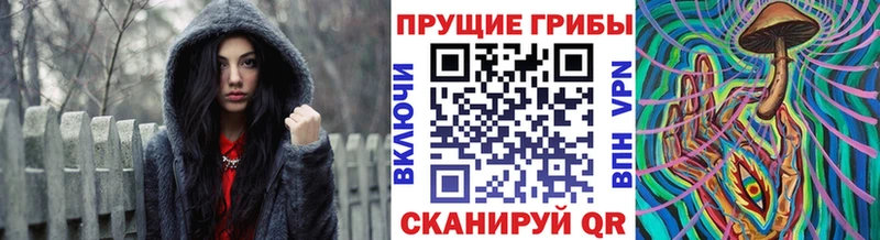 Галлюциногенные грибы мицелий  где купить наркоту  Заволжск 